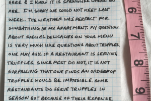 Carl Andre Piece 12 Dec 2 1998